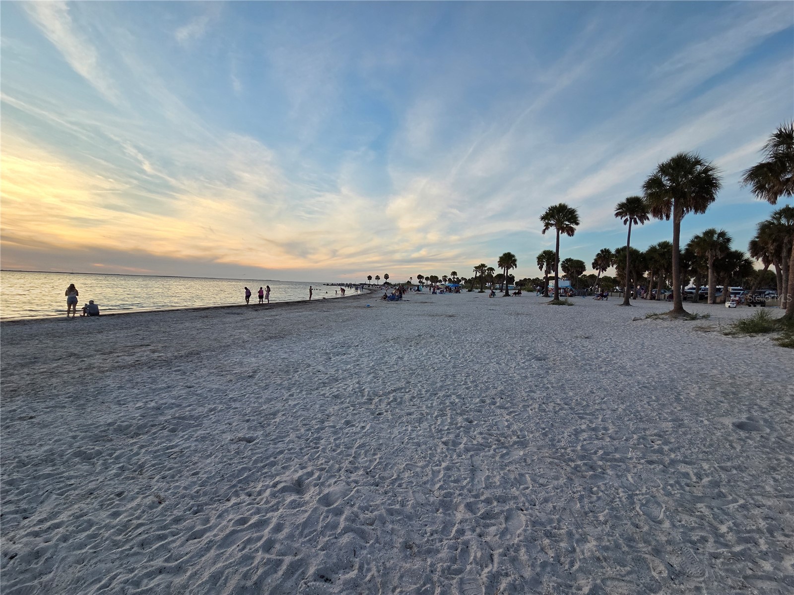 4645 Irene Loop New Port Richey FL 34652 TB8521203 image40