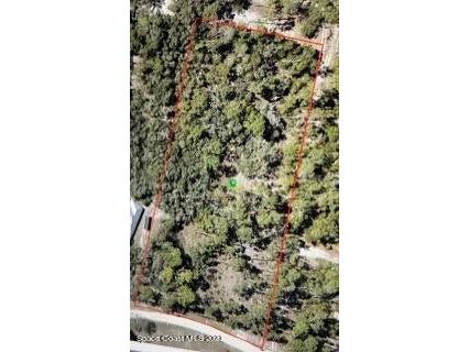 4646 N Orange Grove Drive De Leon Springs FL 32130 O6113412 image1