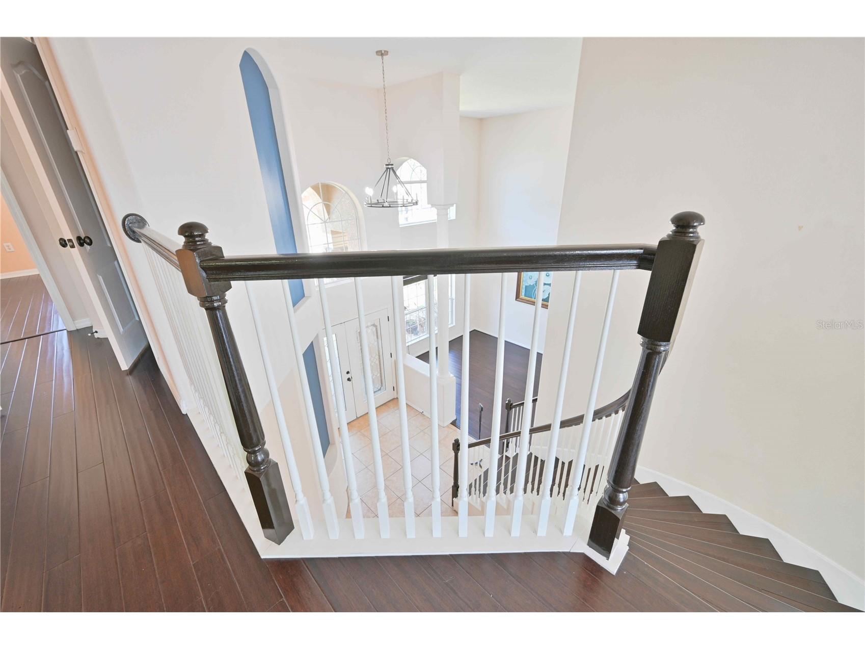 4646 Pointe O Woods Drive Wesley Chapel FL 33543 TB8491677 image32