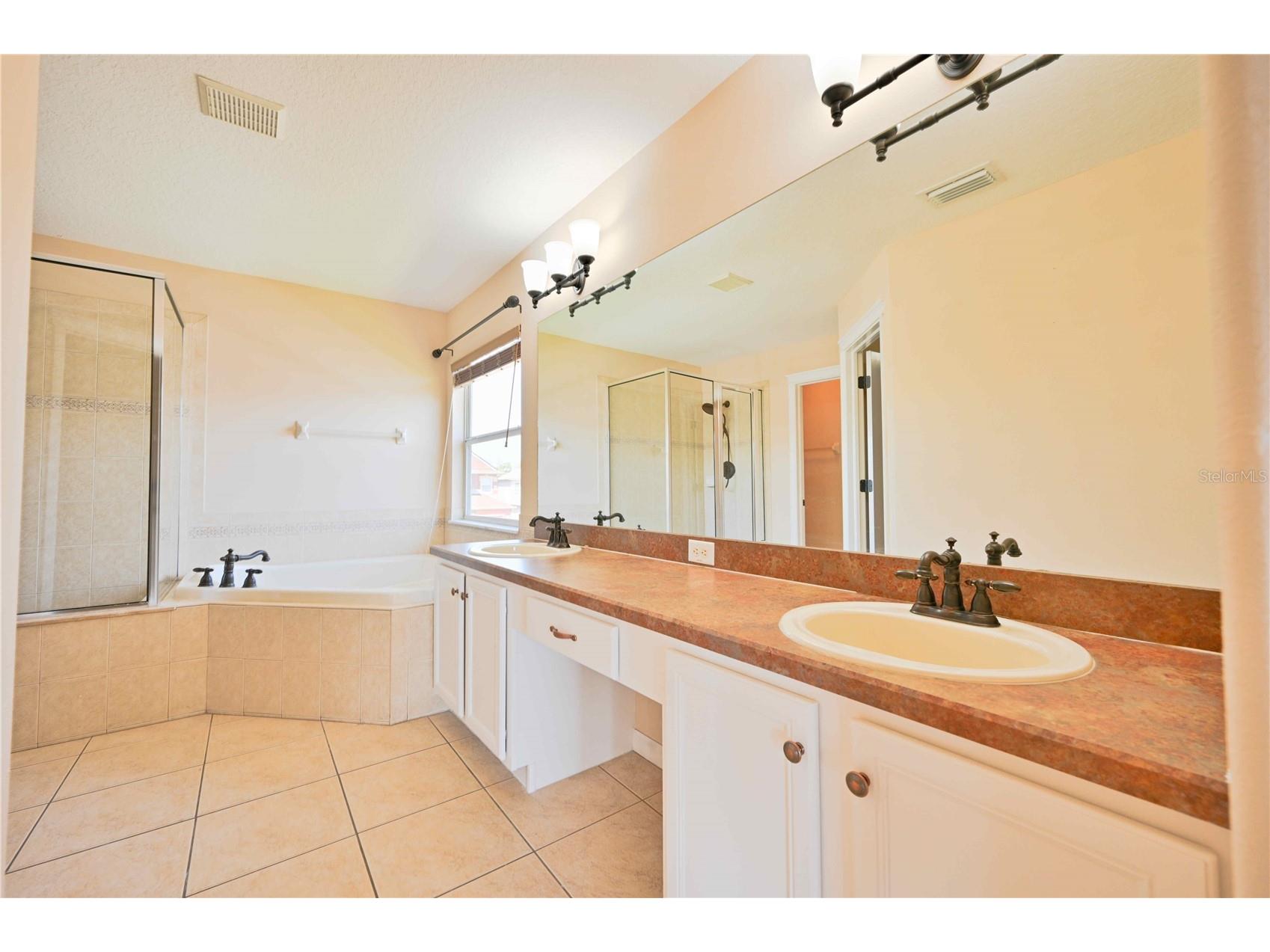 4646 Pointe O Woods Drive Wesley Chapel FL 33543 TB8491677 image41