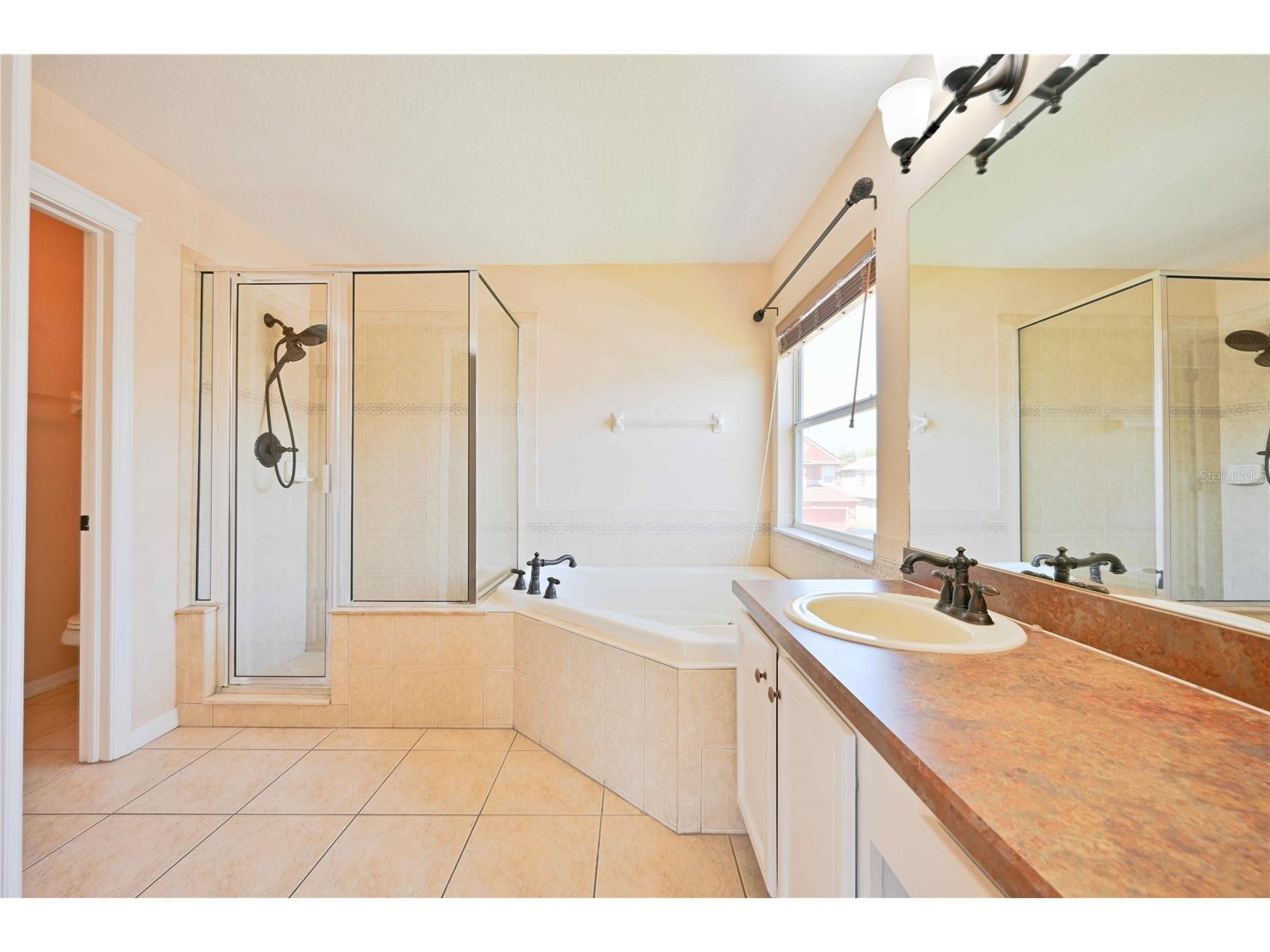 4646 Pointe O Woods Drive Wesley Chapel FL 33543 TB8491677 image42