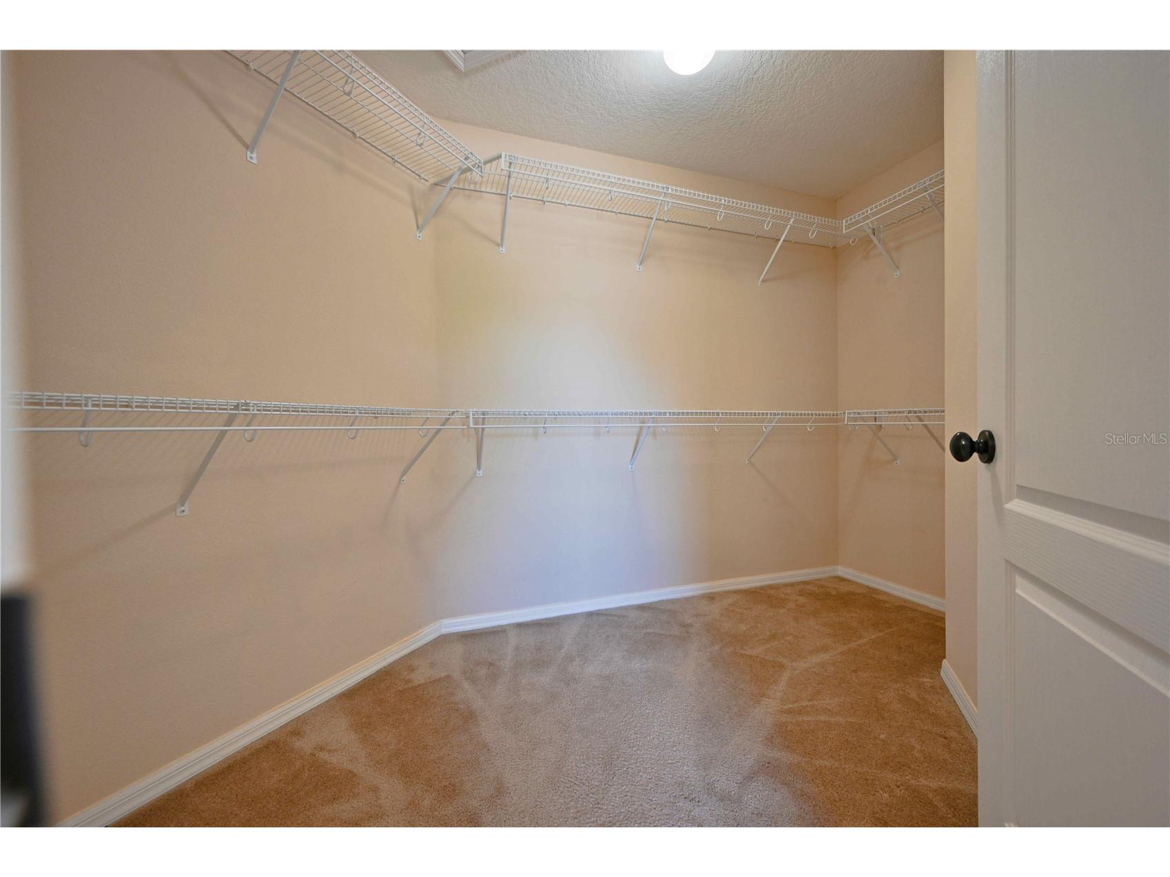 4646 Pointe O Woods Drive Wesley Chapel FL 33543 TB8491677 image44