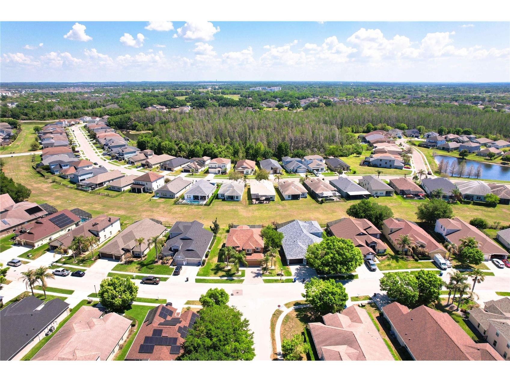 4646 Pointe O Woods Drive Wesley Chapel FL 33543 TB8491677 image54