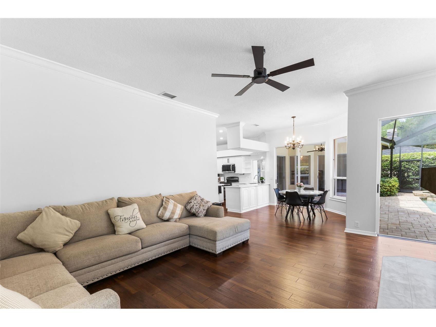 4647 Berwyn Court Palm Harbor FL 34685 TB8489957 image27
