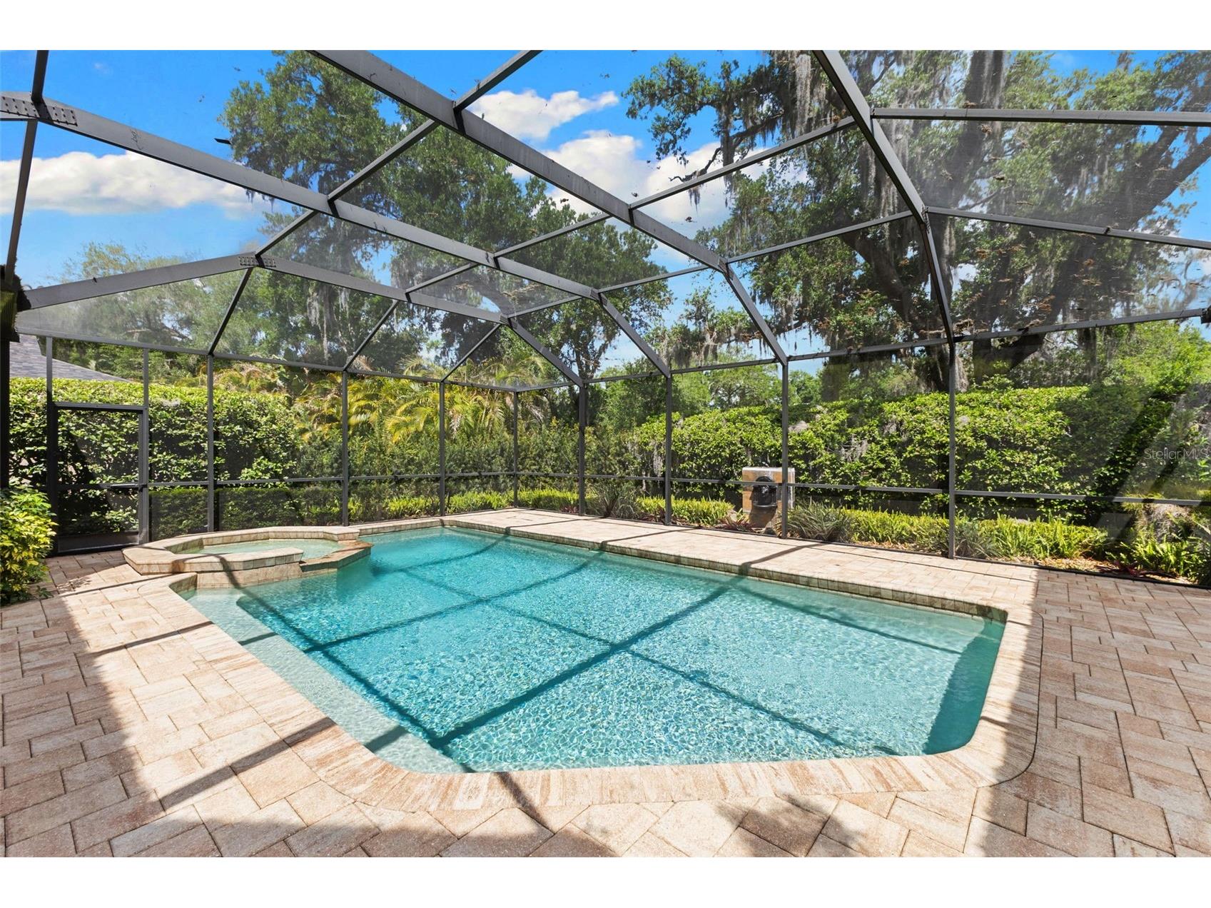 4647 Berwyn Court Palm Harbor FL 34685 TB8489957 image36