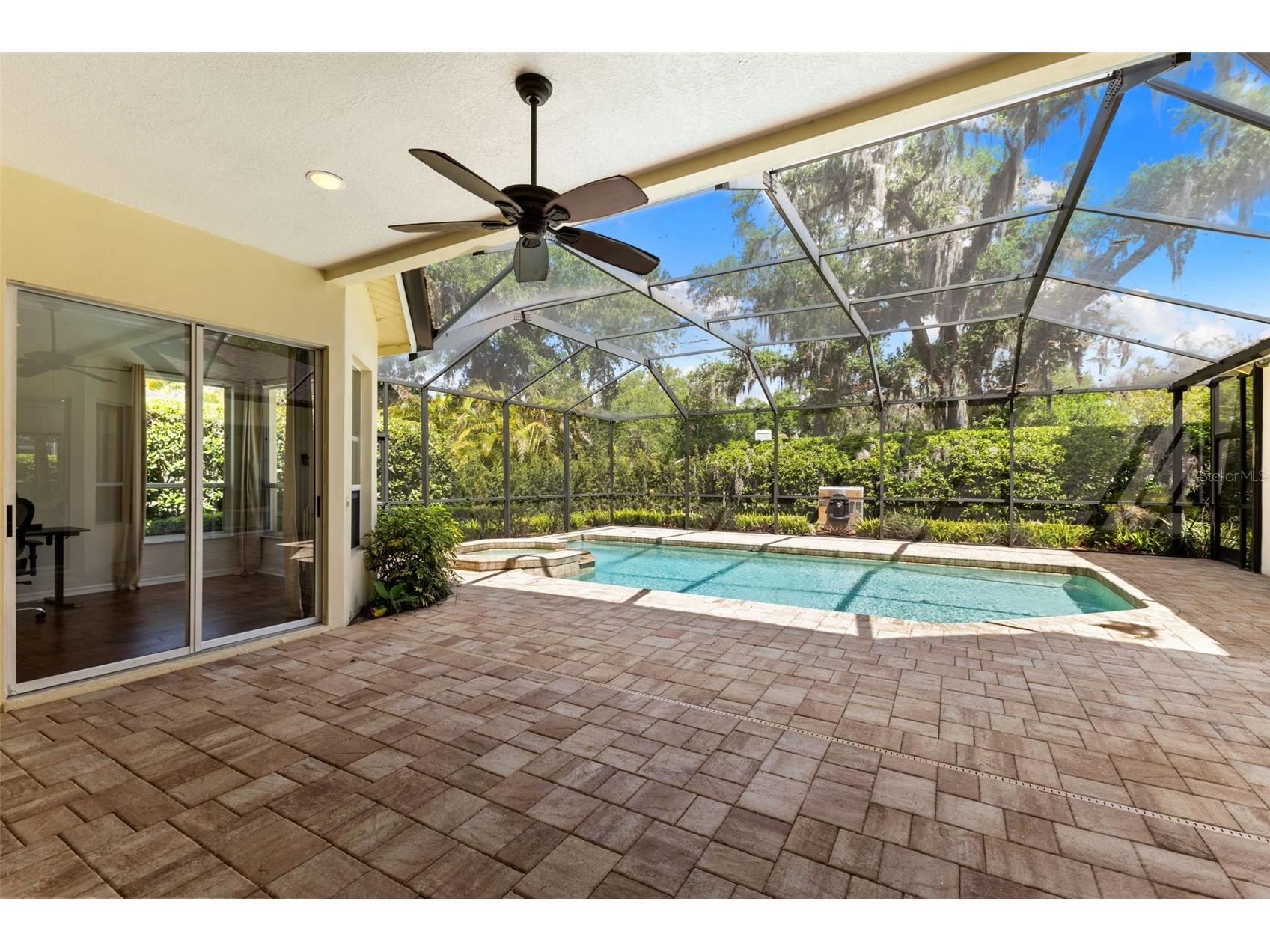 4647 Berwyn Court Palm Harbor FL 34685 TB8489957 image38