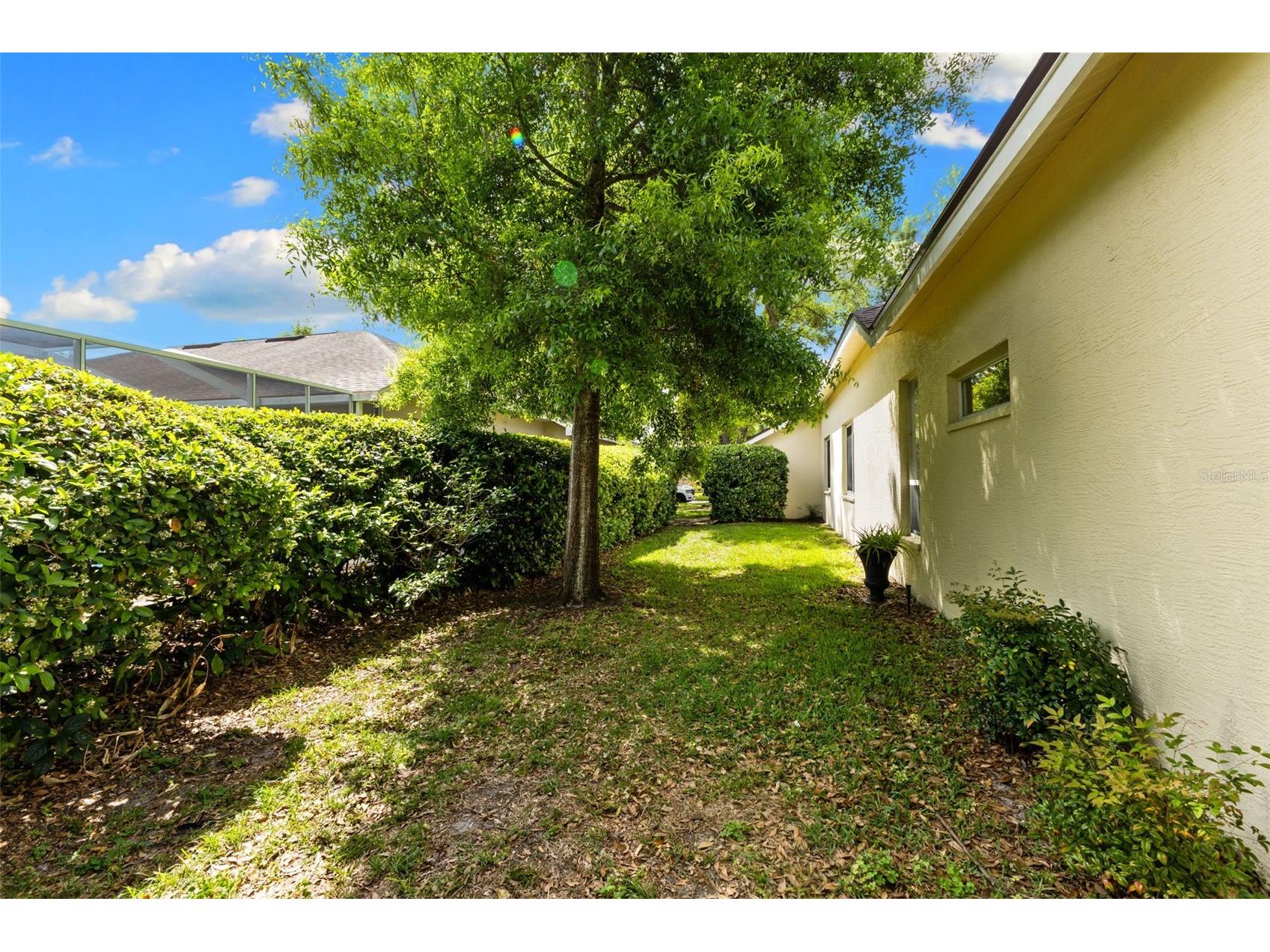 4647 Berwyn Court Palm Harbor FL 34685 TB8489957 image42