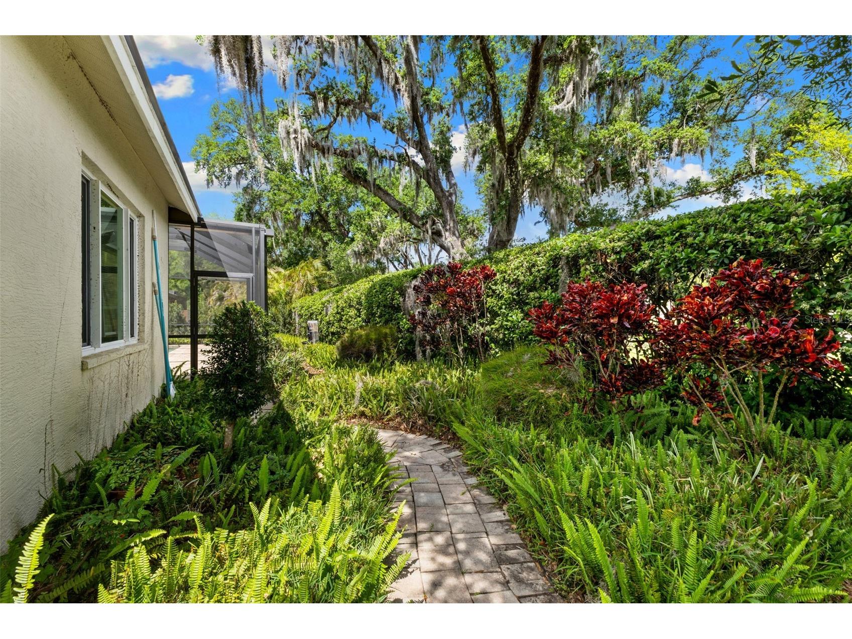 4647 Berwyn Court Palm Harbor FL 34685 TB8489957 image43