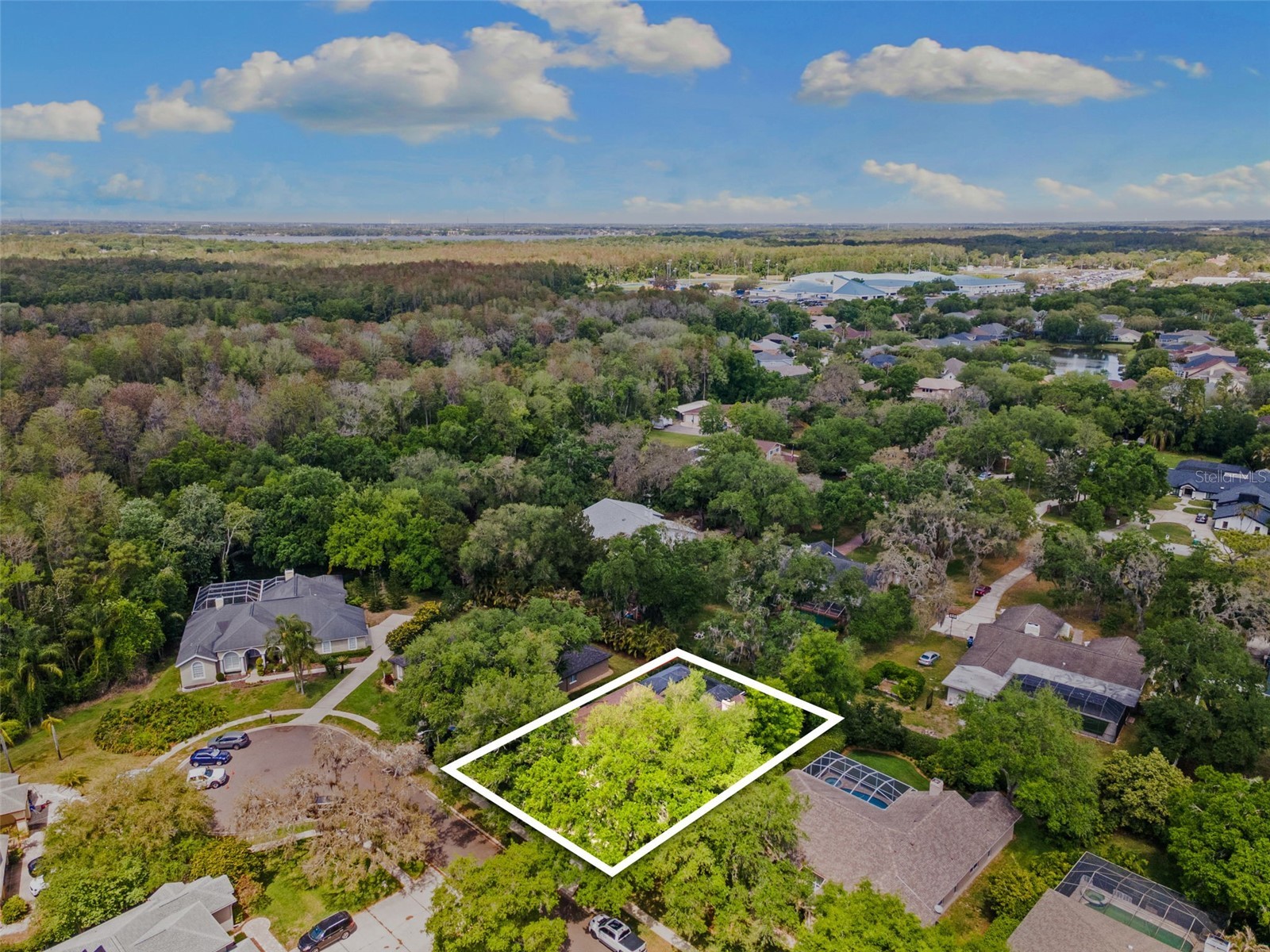 4647 Berwyn Court Palm Harbor FL 34685 TB8489957 image44