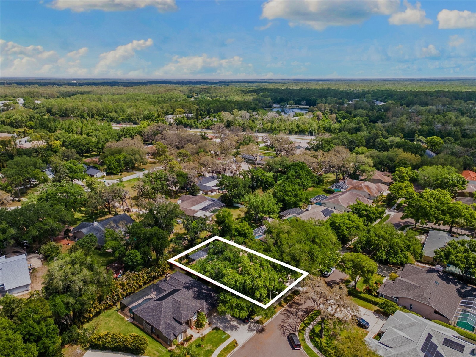 4647 Berwyn Court Palm Harbor FL 34685 TB8489957 image45