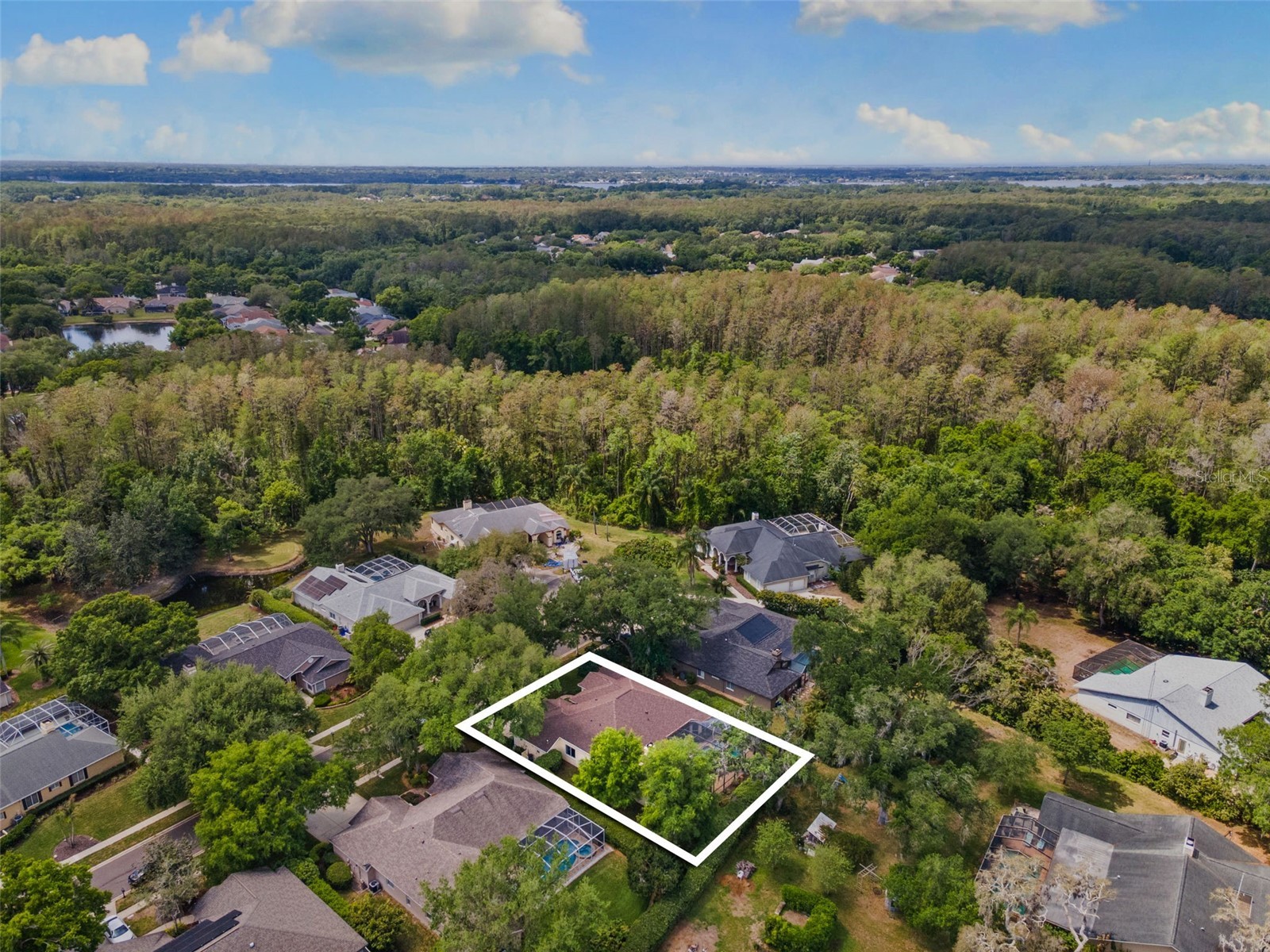 4647 Berwyn Court Palm Harbor FL 34685 TB8489957 image46