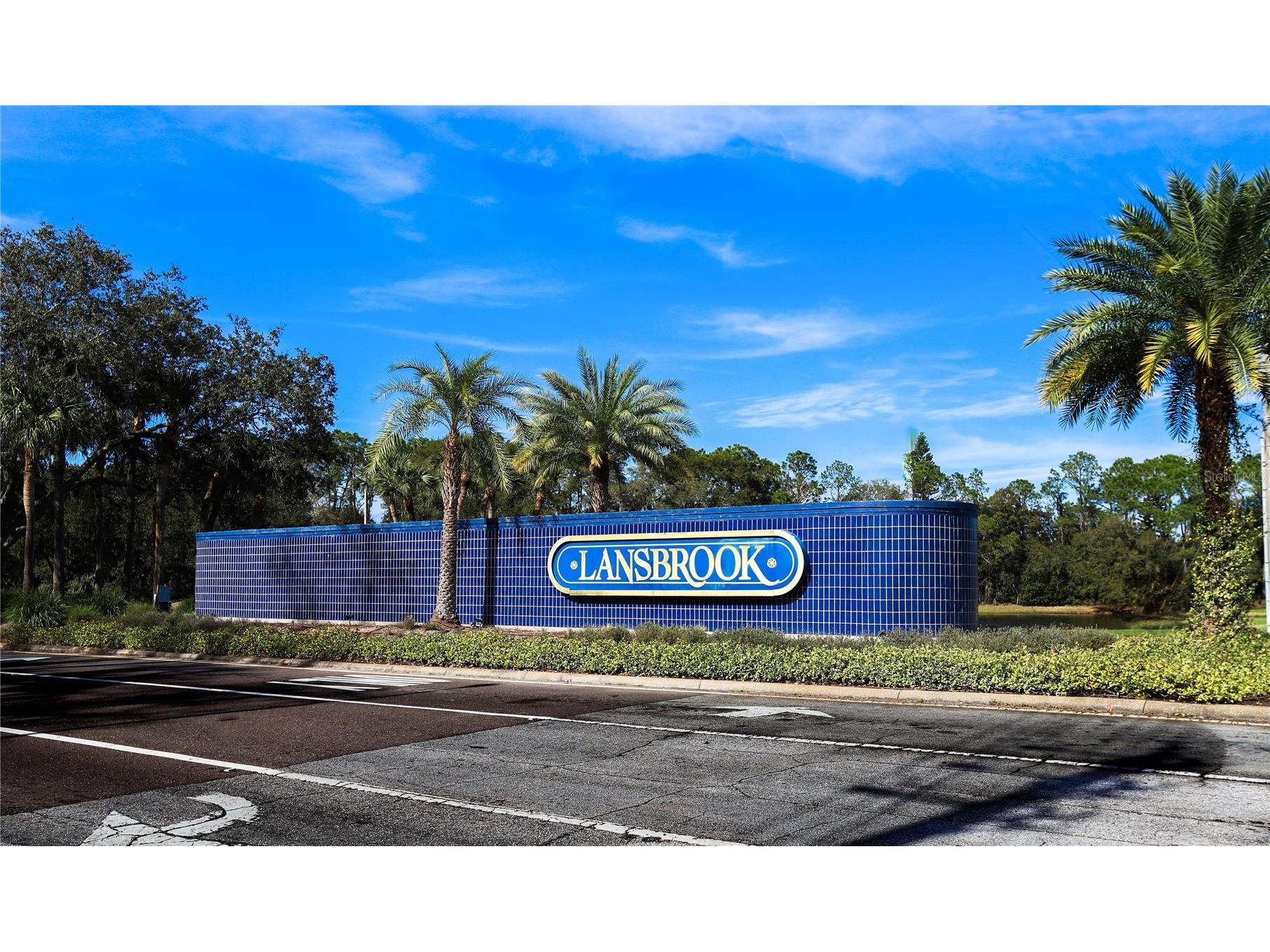 4647 Berwyn Court Palm Harbor FL 34685 TB8489957 image47