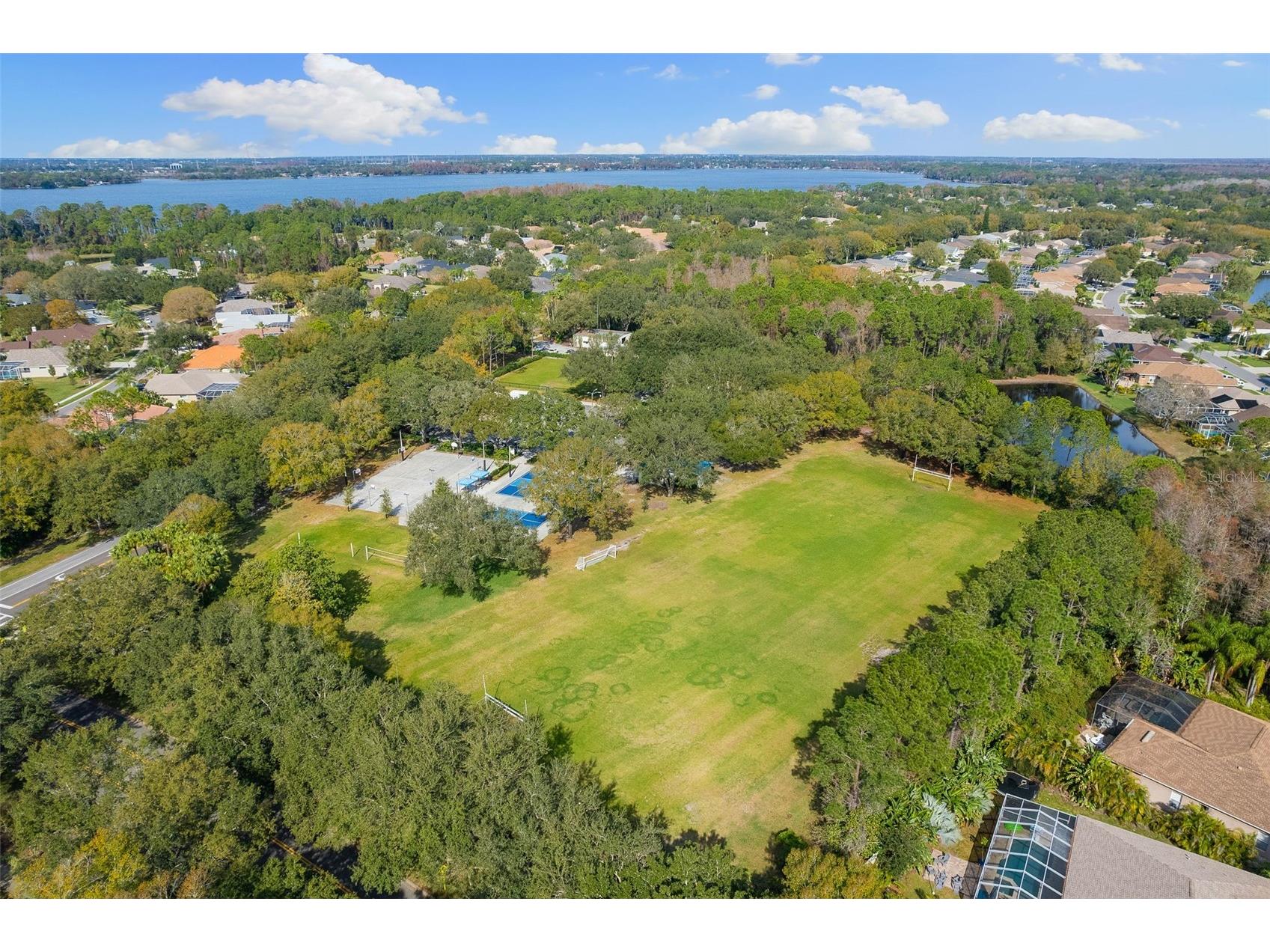 4647 Berwyn Court Palm Harbor FL 34685 TB8489957 image49