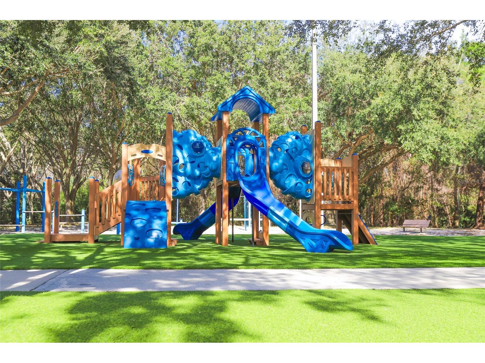 4647 Berwyn Court Palm Harbor FL 34685 TB8489957 image52