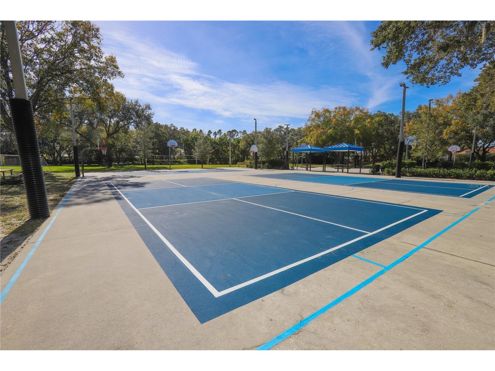 4647 Berwyn Court Palm Harbor FL 34685 TB8489957 image53