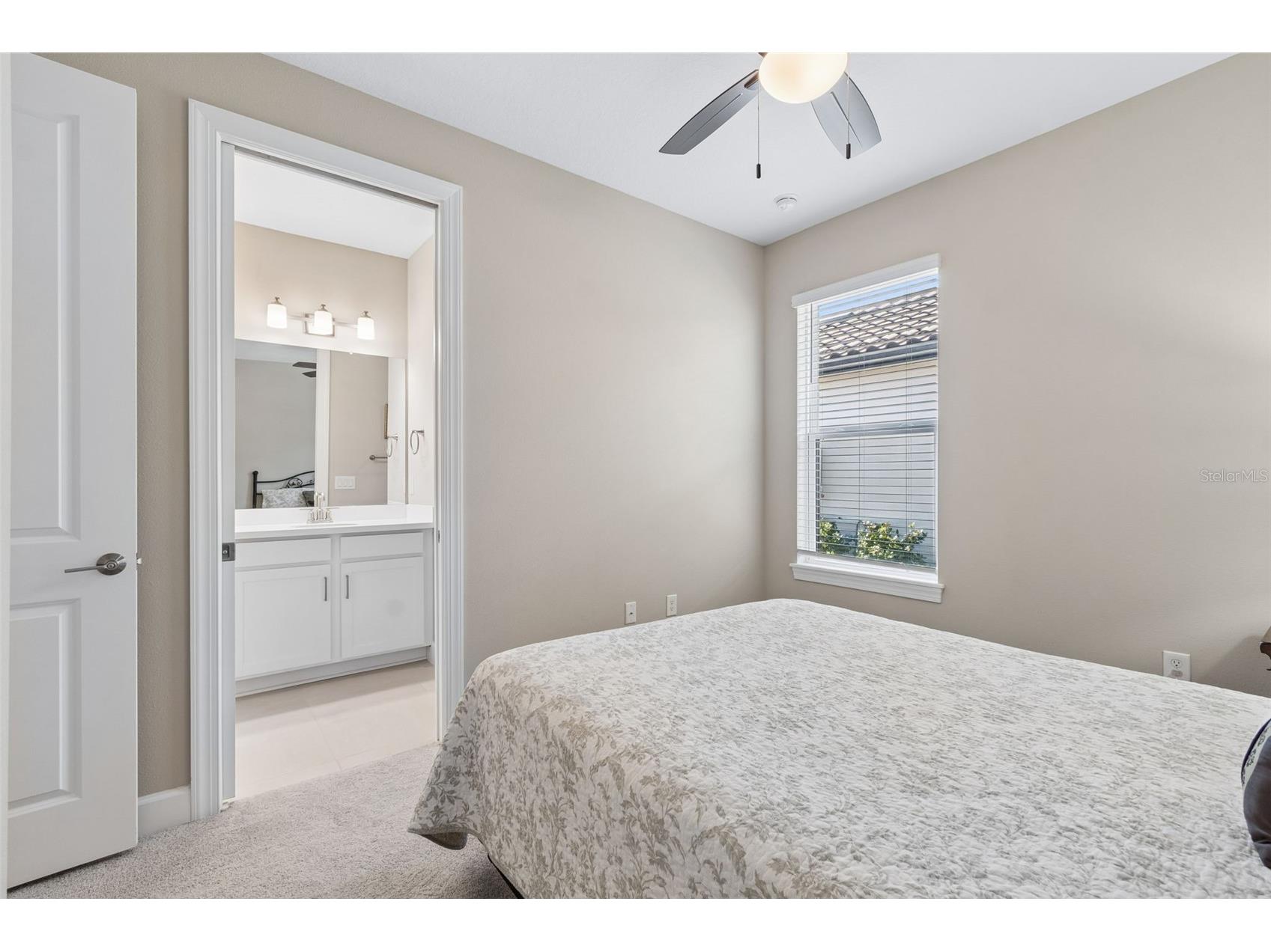 4647 Garofalo Road Wesley Chapel FL 33543 TB8510465 image30