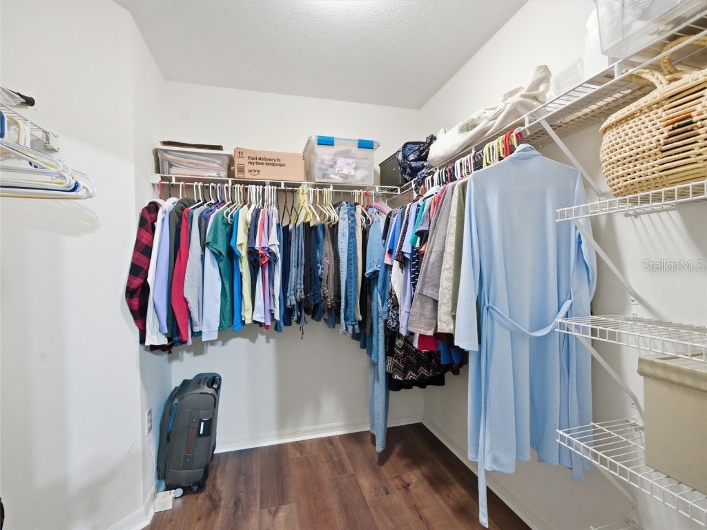 4647 Tailfeather Court Land O Lakes FL 34639 TB8441966 image24