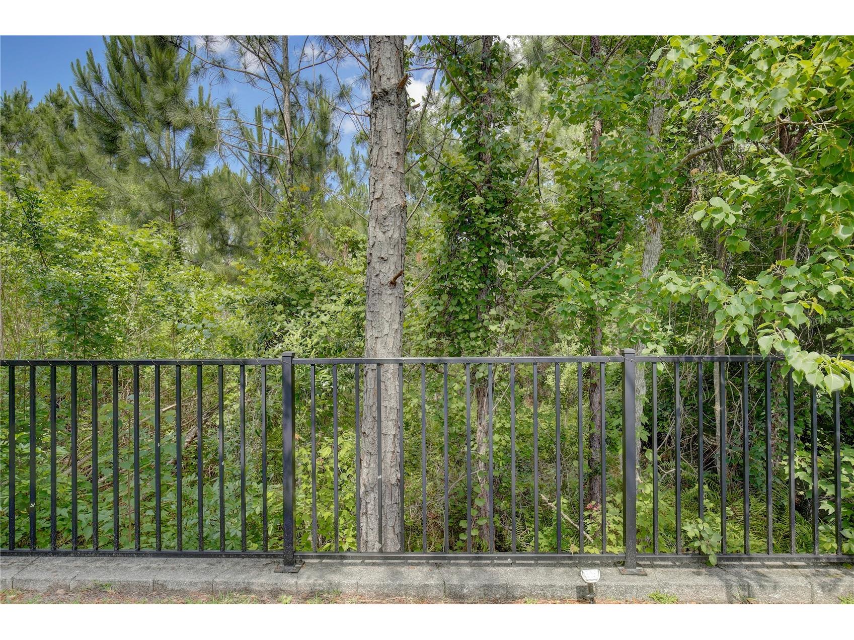 4648 Fairy Tale Circle Kissimmee FL 34746 O6408538 image51