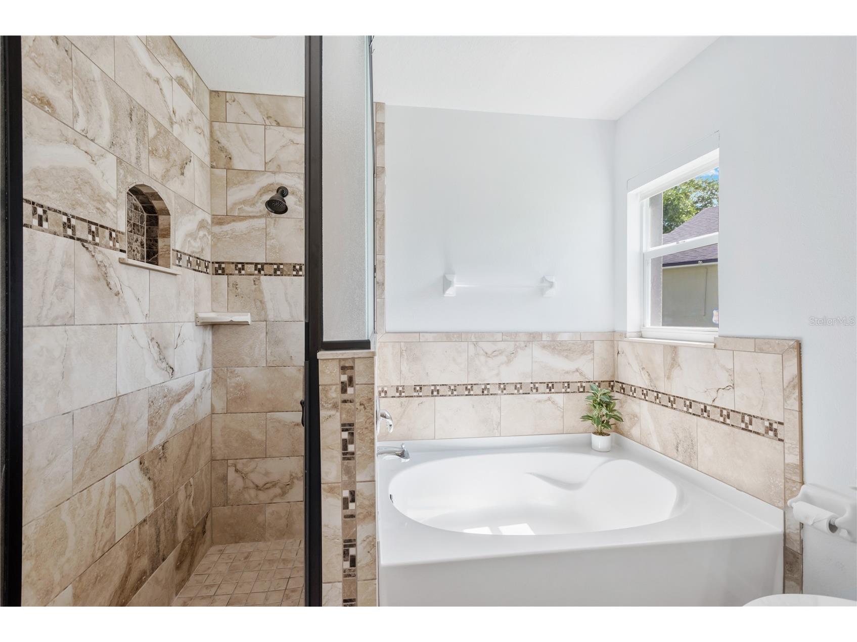 4648 Wessex Way Land O Lakes FL 34639 TB8510587 image16