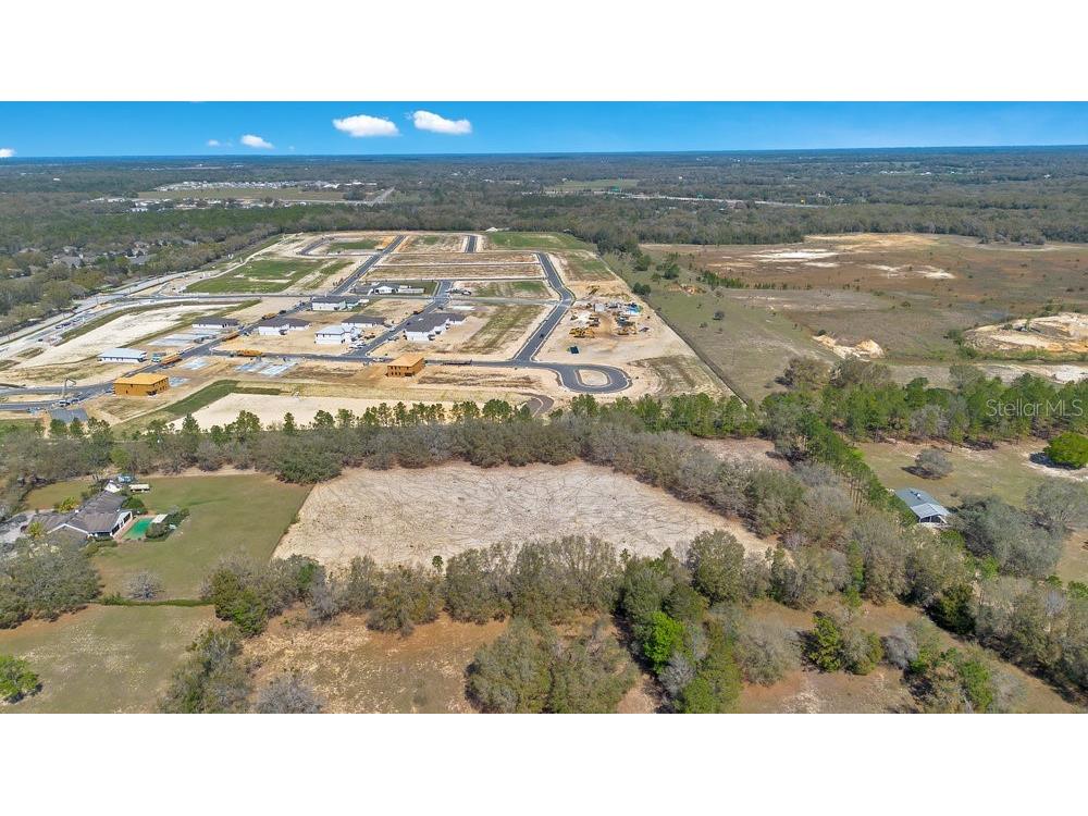 4649 Meadowland Drive Mount Dora FL 32757 O6286774 image10