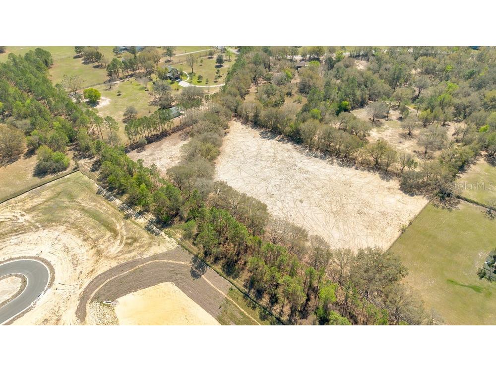 4649 Meadowland Drive Mount Dora FL 32757 O6286774 image12