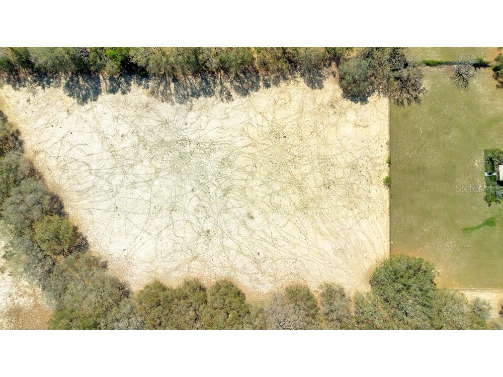 4649 Meadowland Drive Mount Dora FL 32757 O6286774 image13