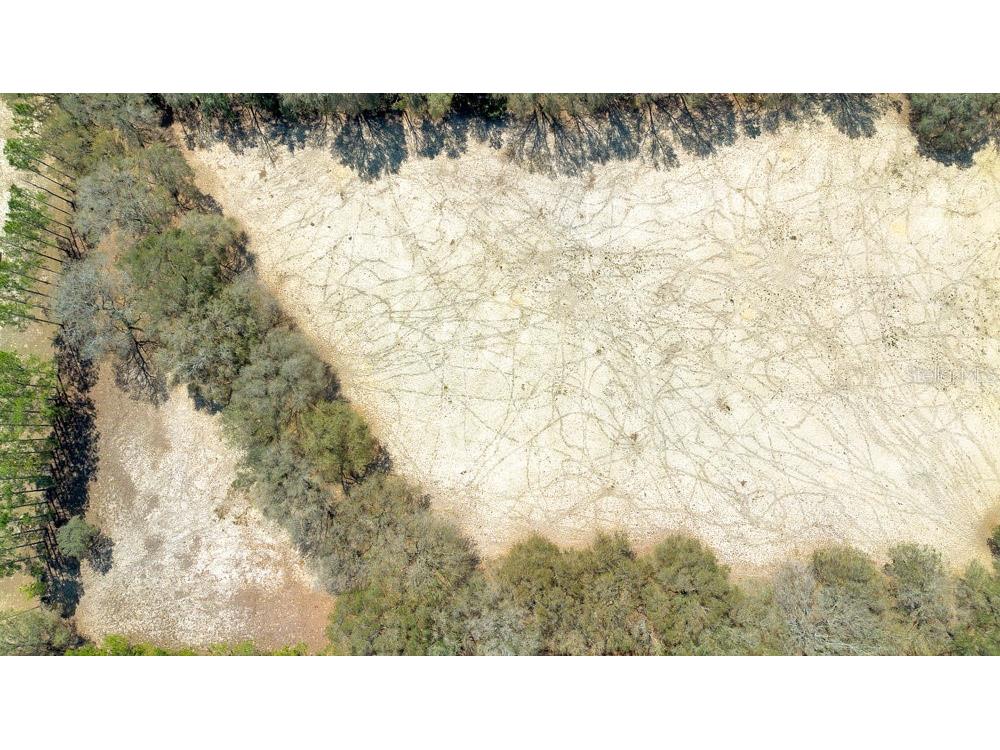 4649 Meadowland Drive Mount Dora FL 32757 O6286774 image2