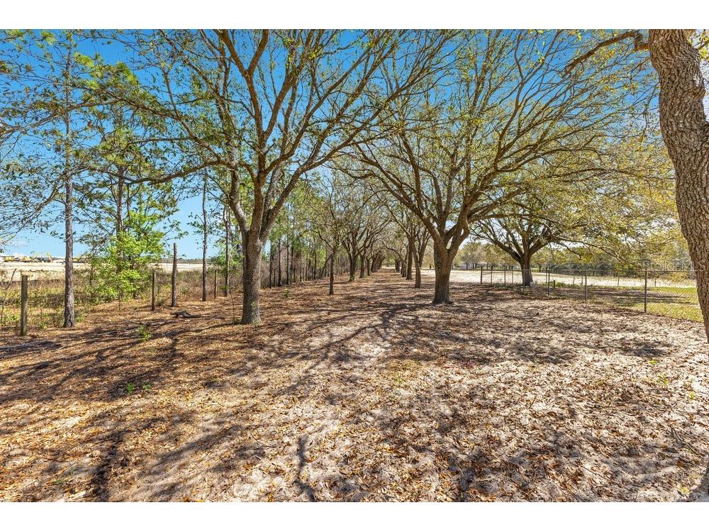 4649 Meadowland Drive Mount Dora FL 32757 O6286774 image4