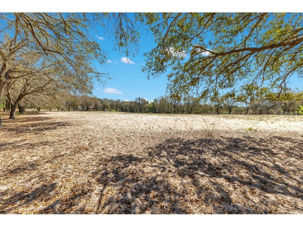 4649 Meadowland Drive Mount Dora FL 32757 O6286774 image5