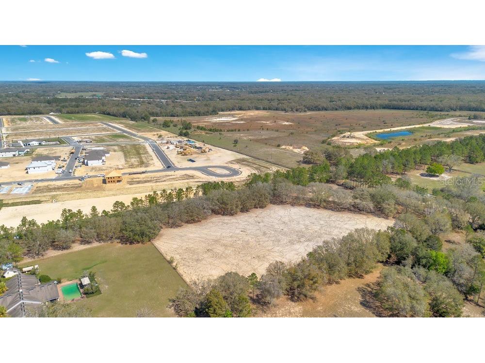 4649 Meadowland Drive Mount Dora FL 32757 O6286774 image9