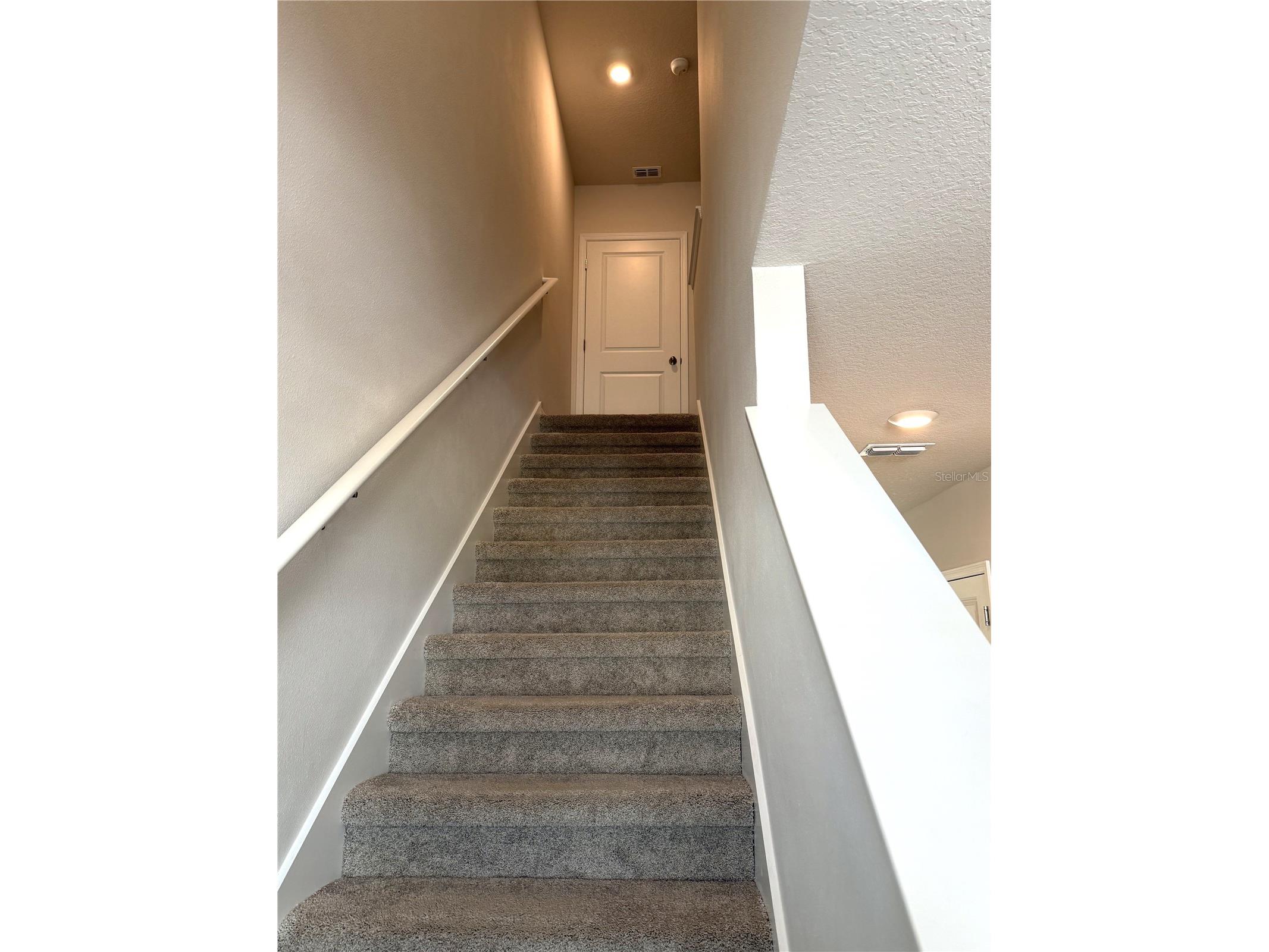 4649 Pleasant Avenue Palm Harbor FL 34683 TB8363161 image11