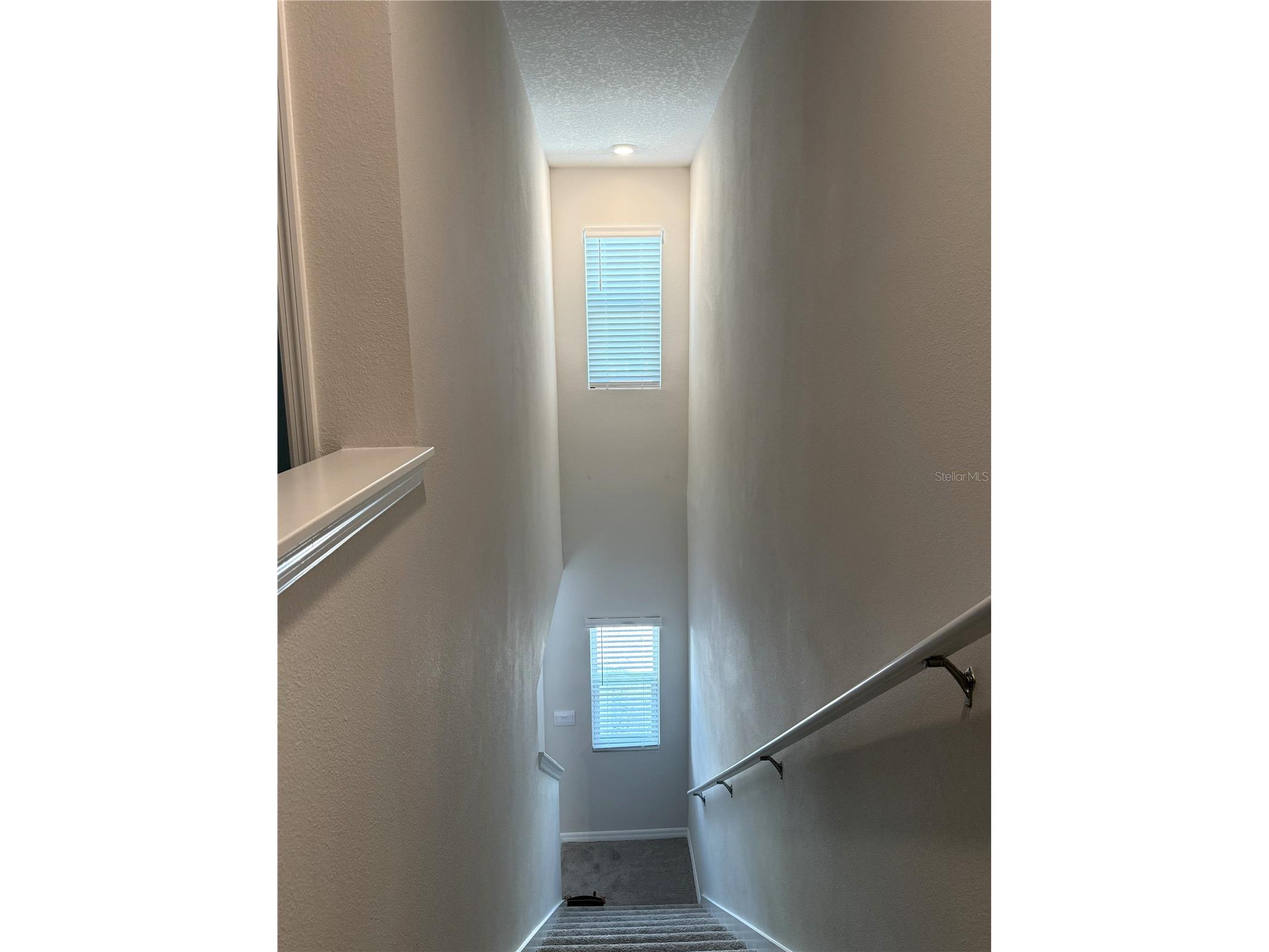 4649 Pleasant Avenue Palm Harbor FL 34683 TB8363161 image13