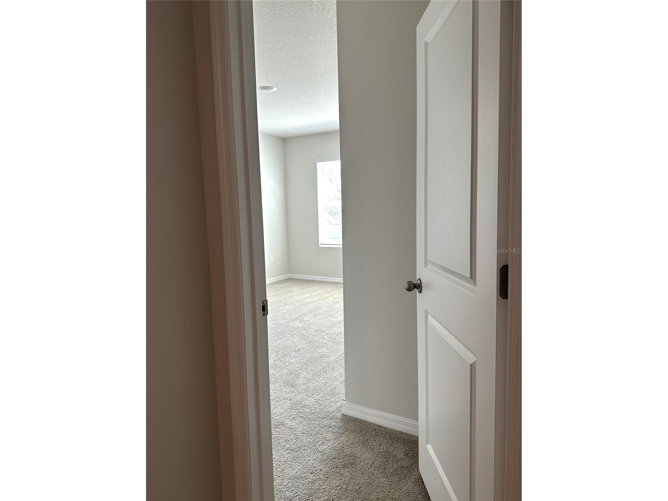 4649 Pleasant Avenue Palm Harbor FL 34683 TB8363161 image32