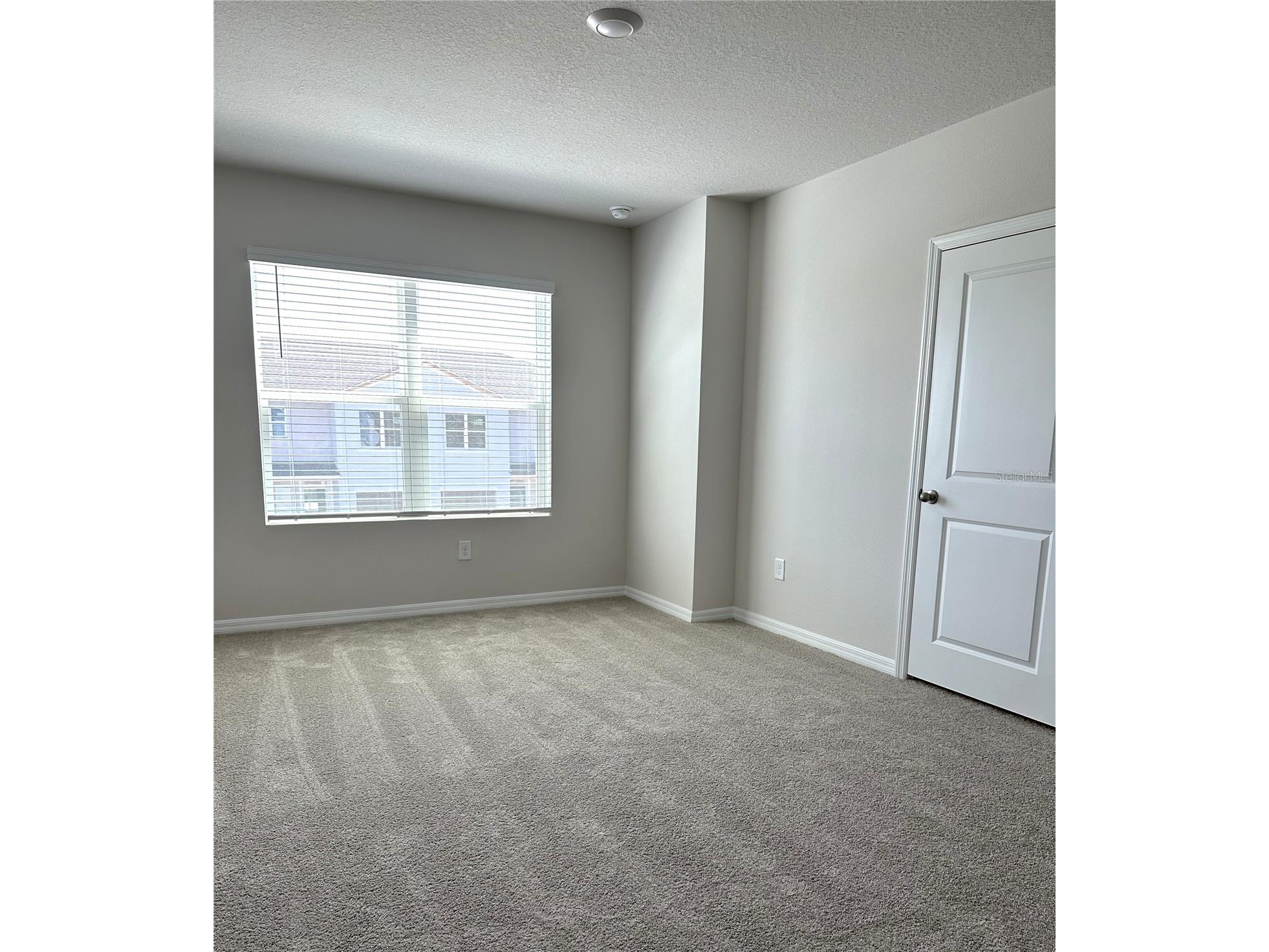 4649 Pleasant Avenue Palm Harbor FL 34683 TB8363161 image33