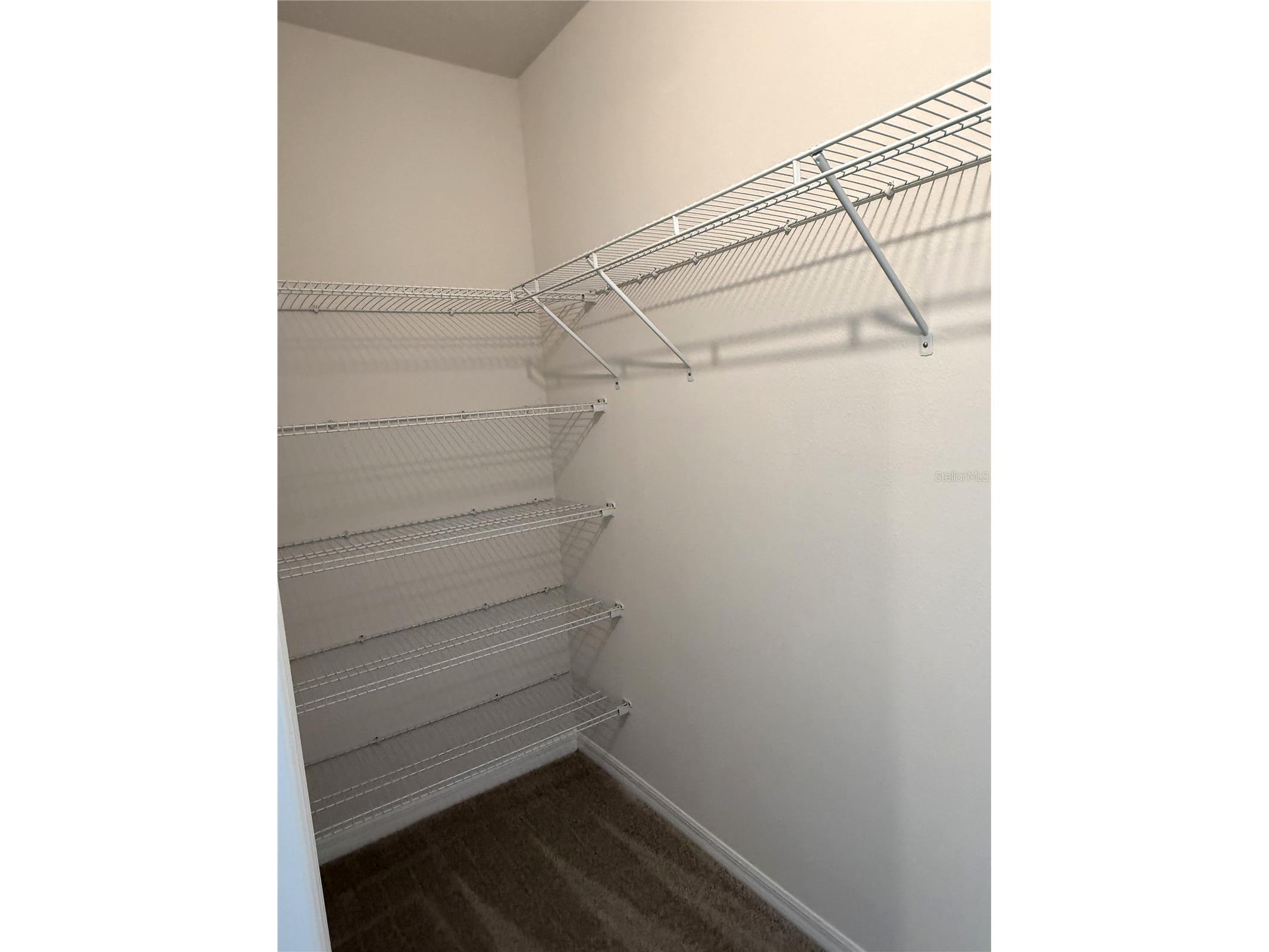 4649 Pleasant Avenue Palm Harbor FL 34683 TB8363161 image35