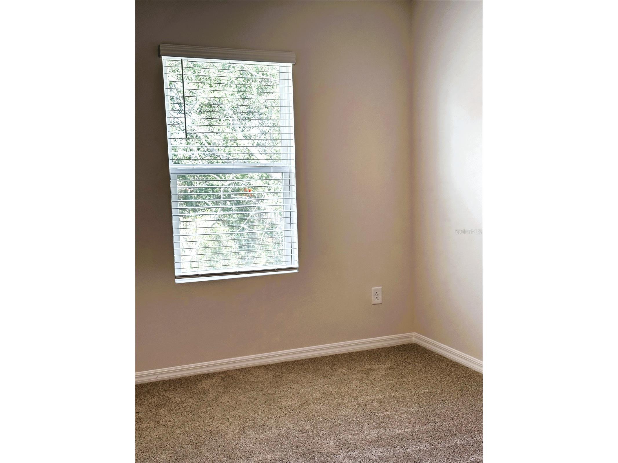 4649 Pleasant Avenue Palm Harbor FL 34683 TB8363161 image44