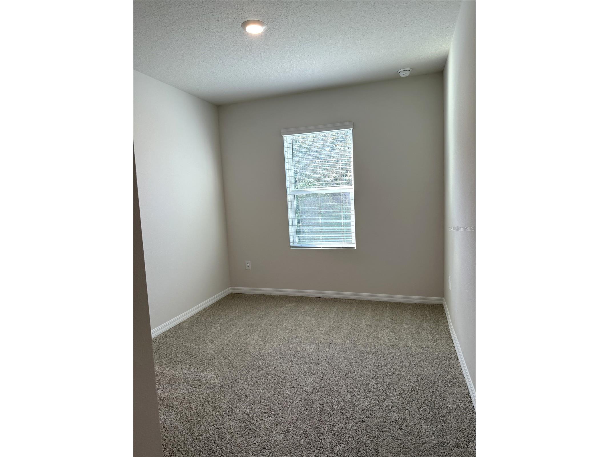 4649 Pleasant Avenue Palm Harbor FL 34683 TB8363161 image47