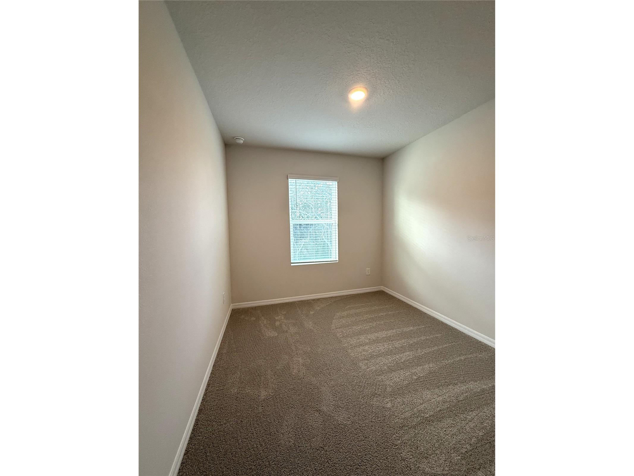 4649 Pleasant Avenue Palm Harbor FL 34683 TB8363161 image48