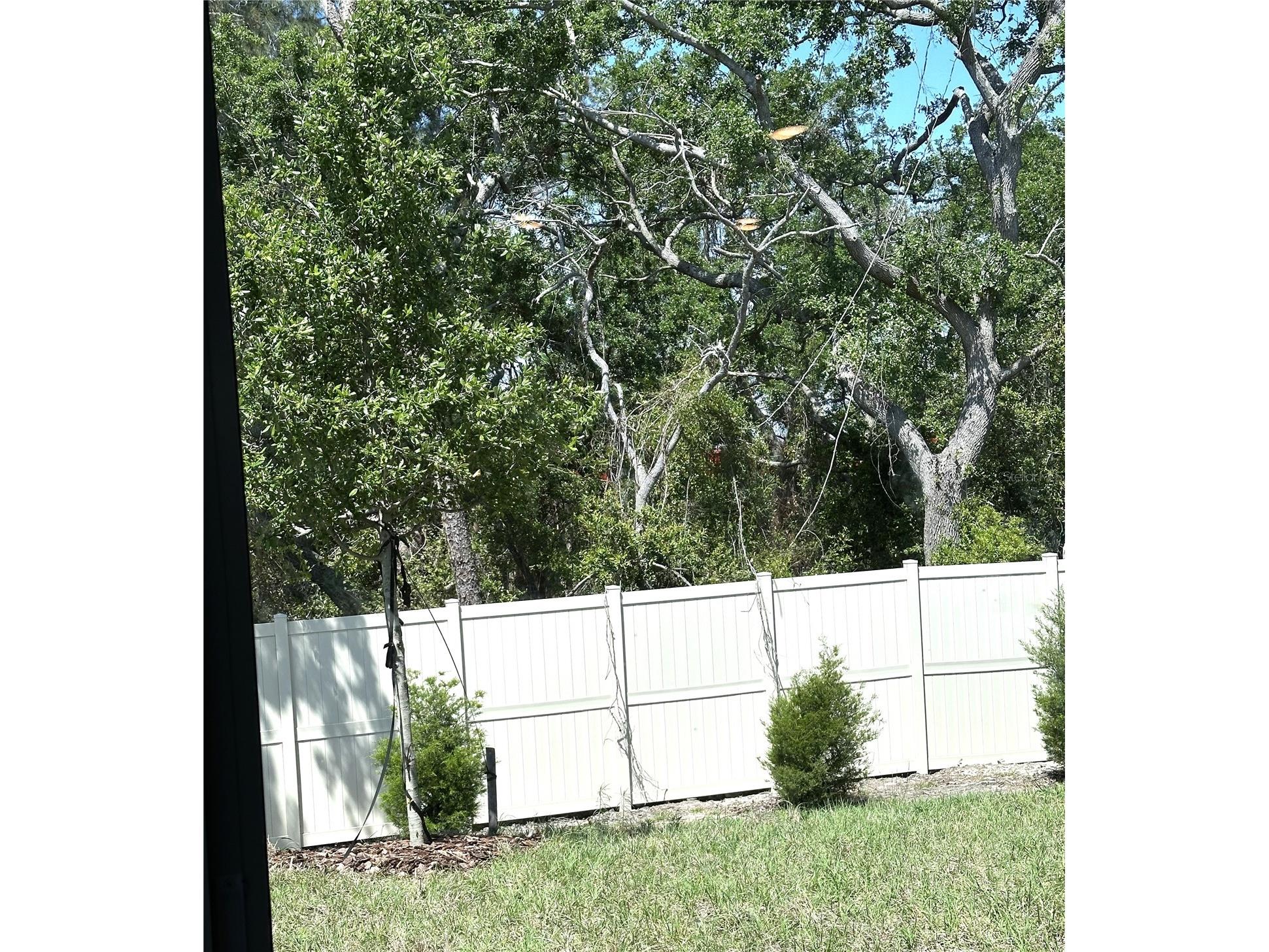 4649 Pleasant Avenue Palm Harbor FL 34683 TB8363161 image6