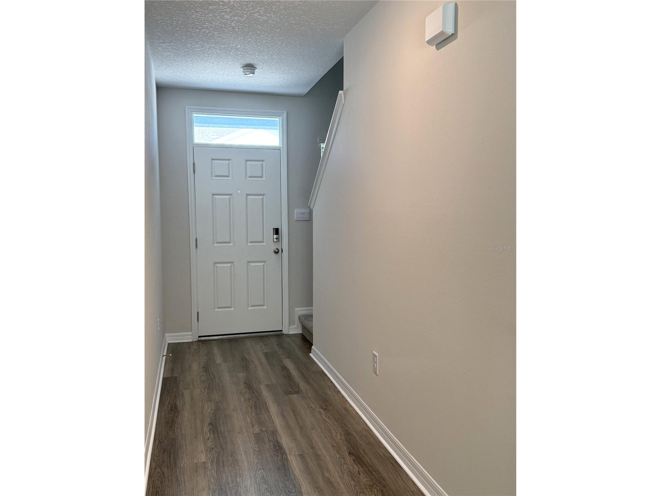 4649 Pleasant Avenue Palm Harbor FL 34683 TB8363161 image7