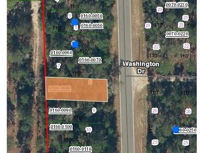 465 Baden Powell Road Hawthorne FL 32640 OM696559 image1