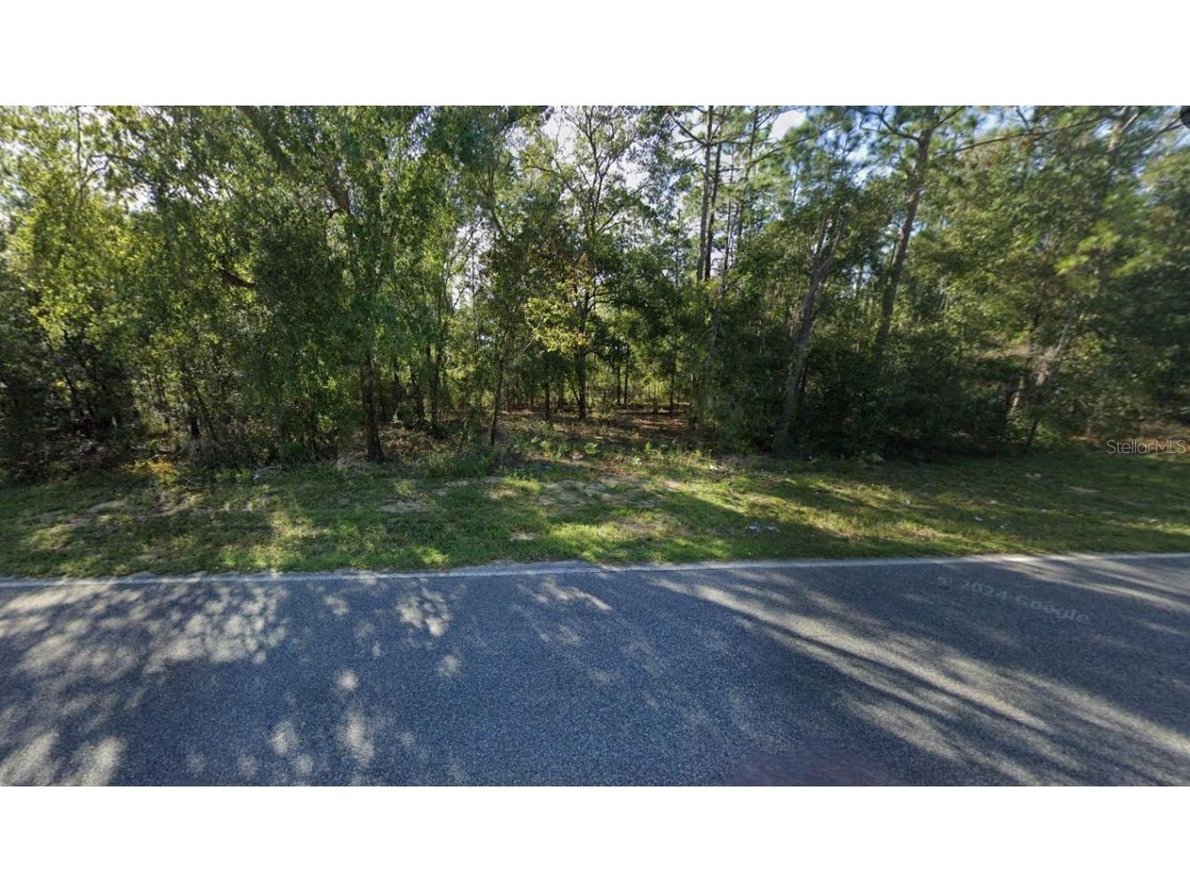 465 Baden Powell Road Hawthorne FL 32640 OM696559 image3