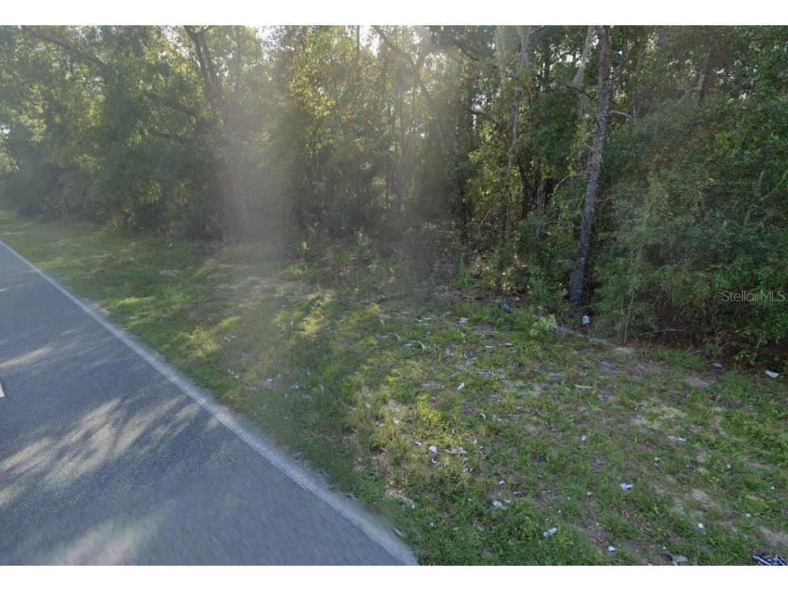 465 Baden Powell Road Hawthorne FL 32640 OM696559 image4