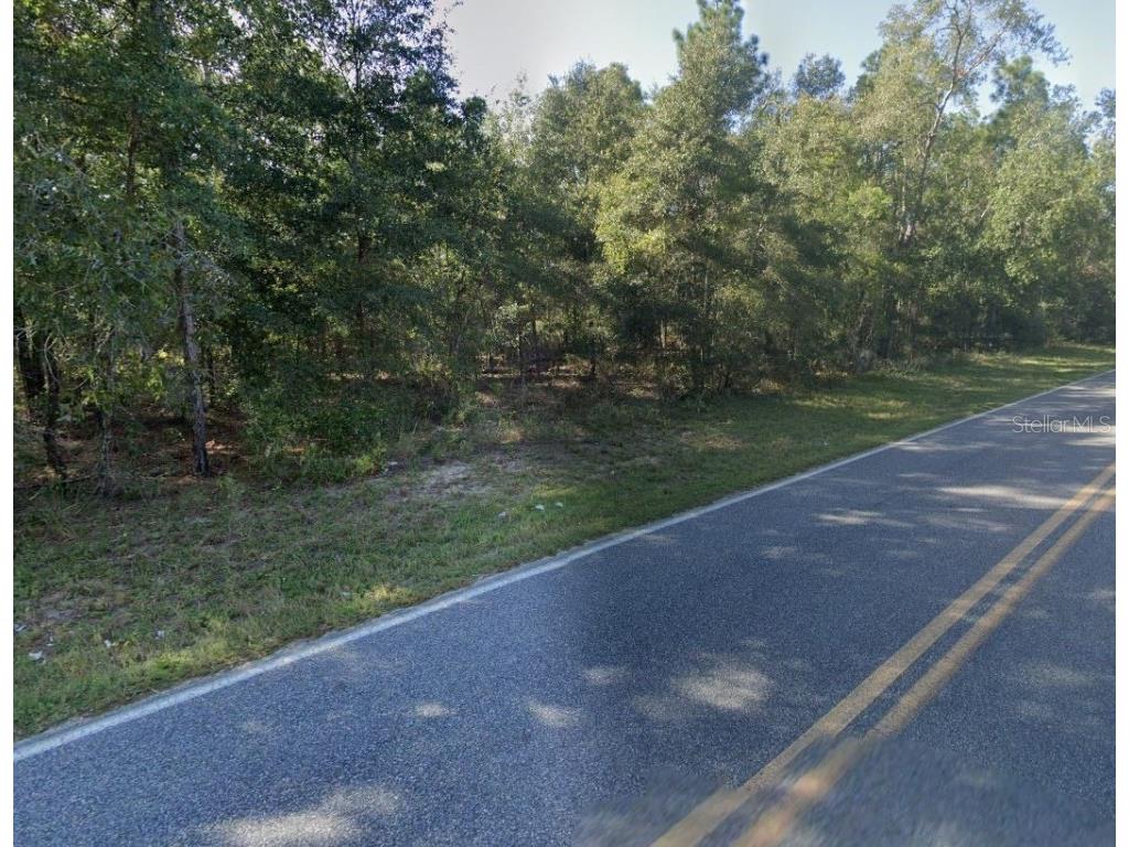 465 Baden Powell Road Hawthorne FL 32640 OM696559 image5