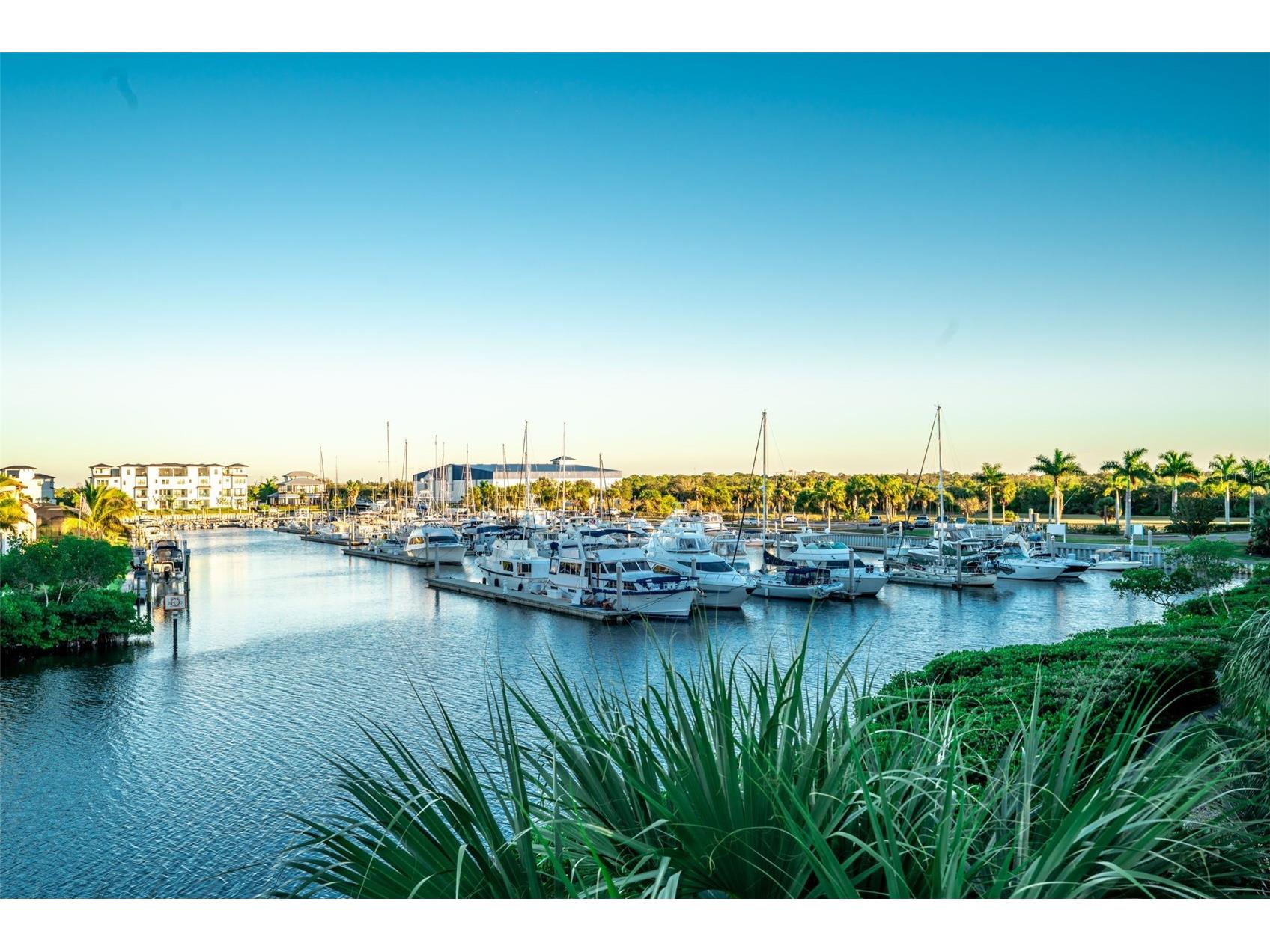 465 Bahia Beach Boulevard Ruskin FL 33570 TB8455576 image42