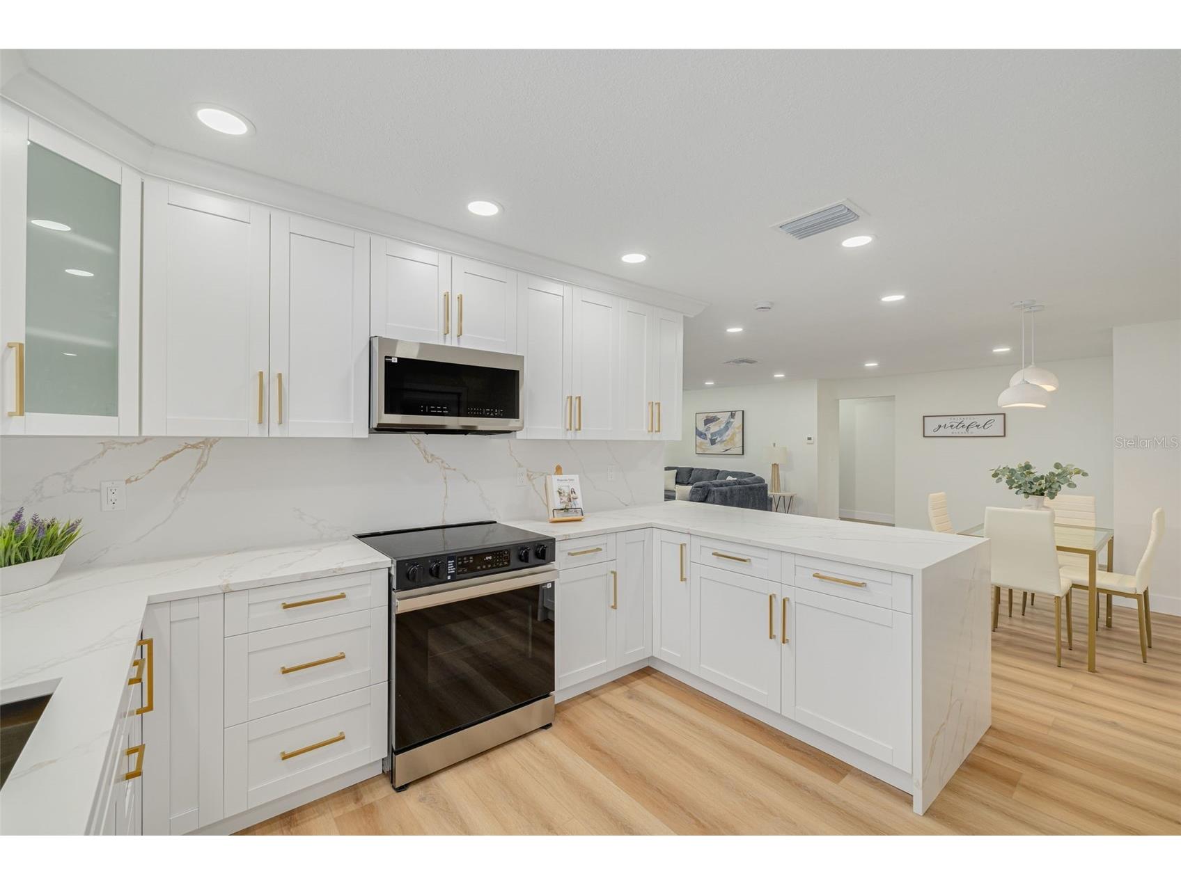 465 Belmist Court Dunedin FL 34698 TB8504317 image11