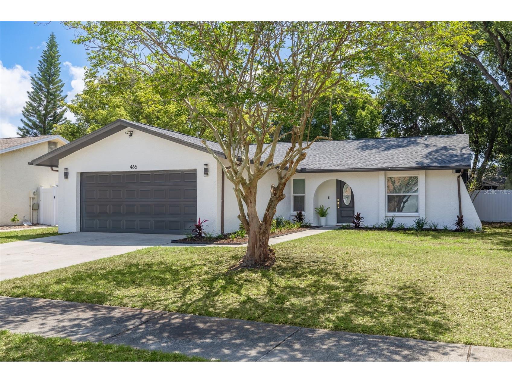 465 Belmist Court Dunedin FL 34698 TB8504317 image2