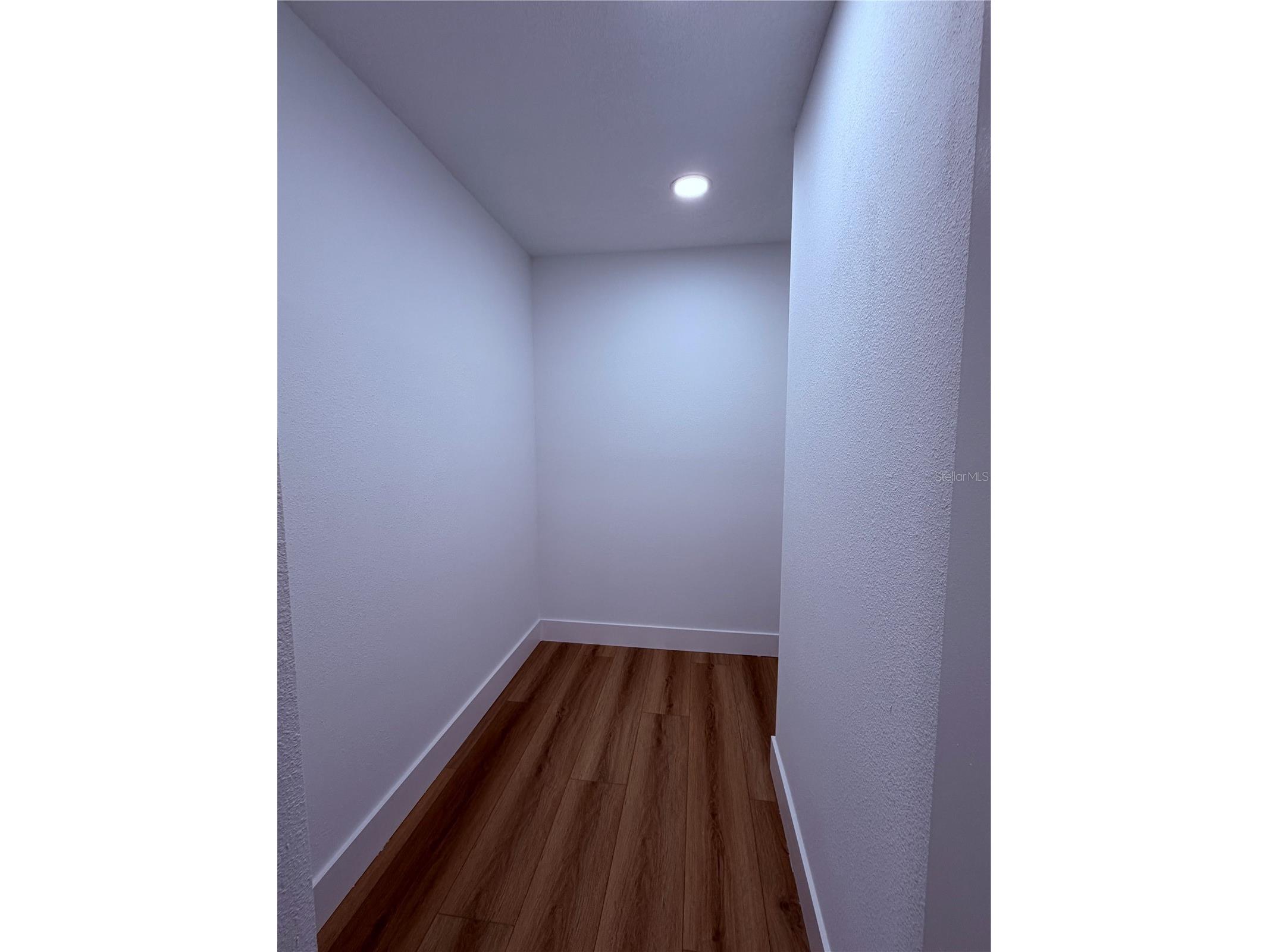 465 Belmist Court Dunedin FL 34698 TB8504317 image22