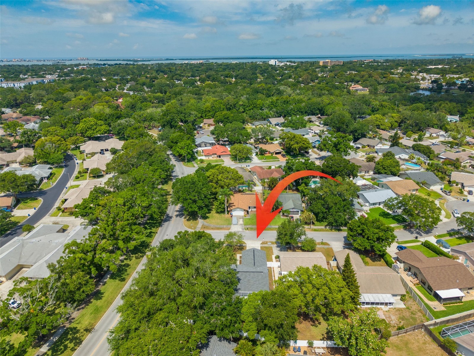 465 Belmist Court Dunedin FL 34698 TB8504317 image33