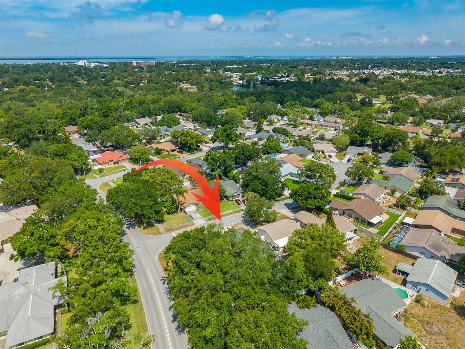 465 Belmist Court Dunedin FL 34698 TB8504317 image34
